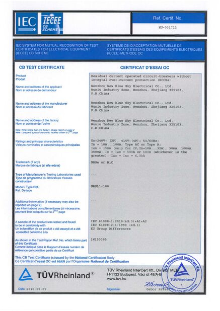 Wenzhou New Blue Sky Electrical Co.,Ltd