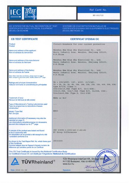 Wenzhou New Blue Sky Electrical Co.,Ltd